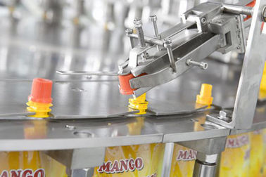 Hoge de Zak van Nauwkeurigheids Autospuiten het Vullen Machine voor Tomatenpuree met Ce Stanard